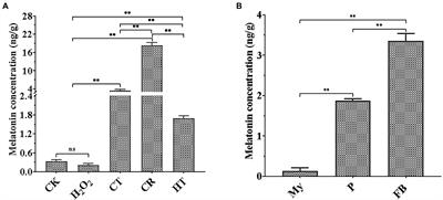 Biosynthetic Pathway and the Potential Role of Melatonin at Different Abiotic Stressors and Developmental Stages in Tolypocladium guangdongense